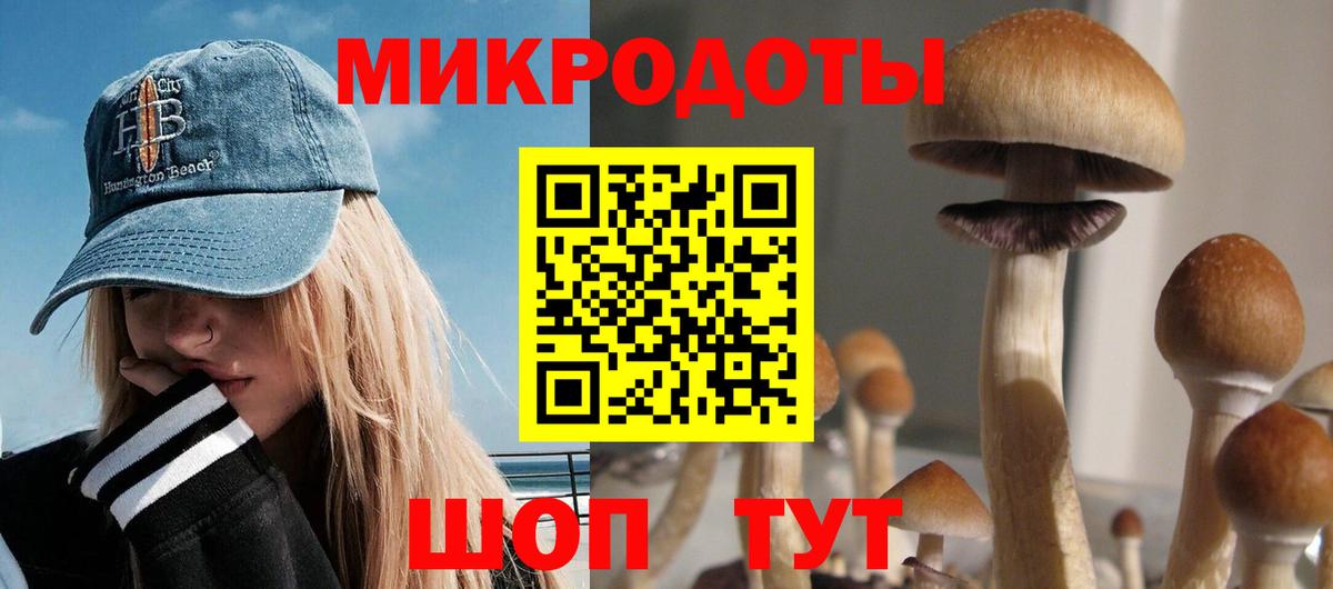 Галлюциногенные грибы Magic Shrooms Кемерово