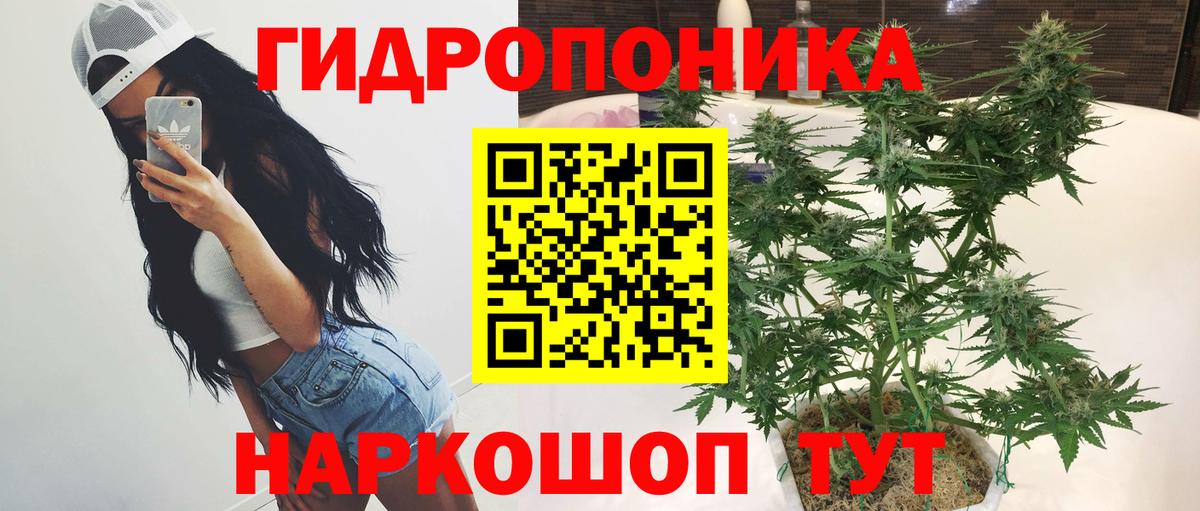 Каннабис THC 21%  Вход с VPN  Кемерово  Бошки марихуана конопля  Шишки марихуана SATIVA & INDICA  Шишки марихуана семена 